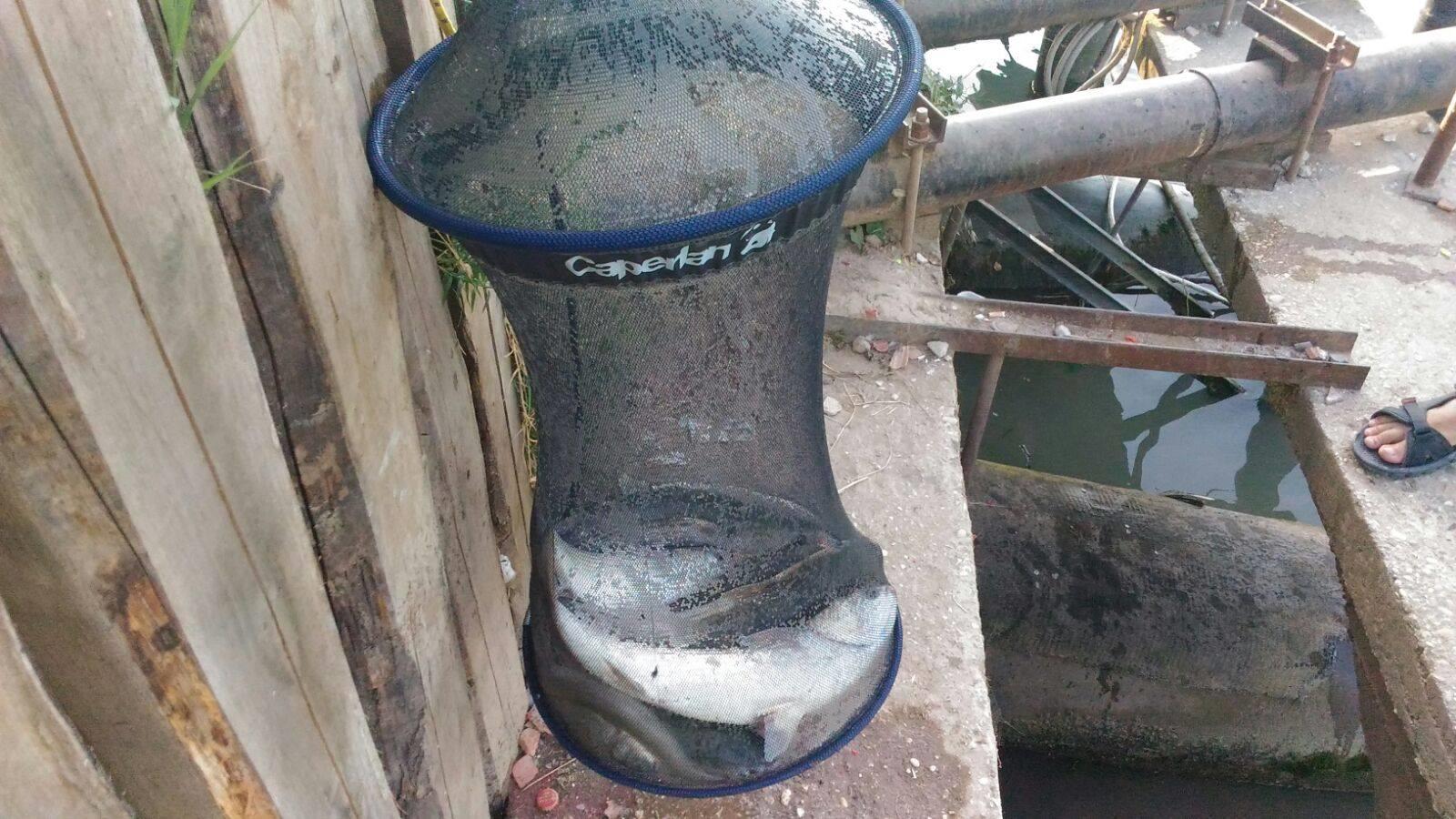 :-)amestecate - 13558625102082297894797708574691803855438950o.jpg